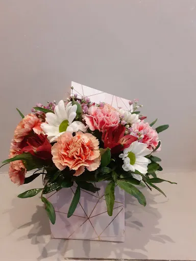 Storczyk. Kwiaciarnia. upominki